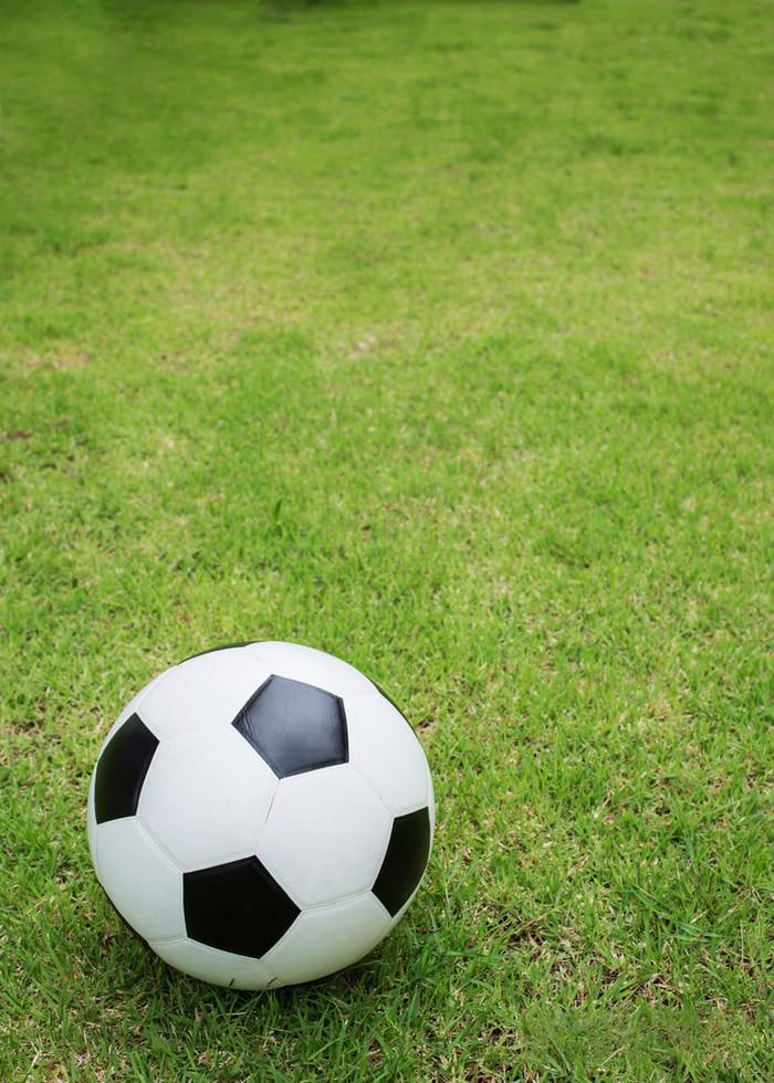 体育爱好者关注赛事比分和数据